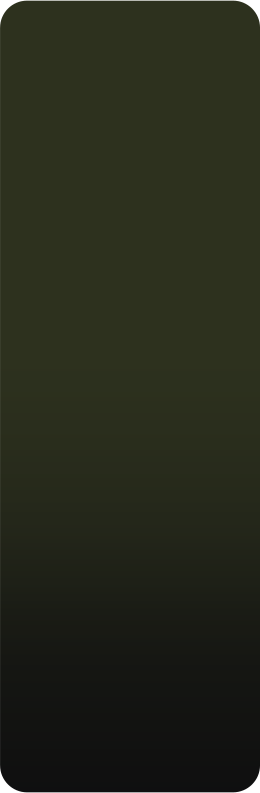 Deep Olive