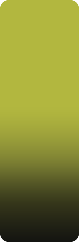 Lime Olive